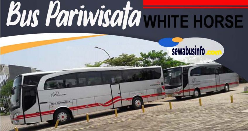bus pariwisata white horse