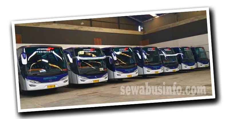 Bus Pariwisata Suryaputra