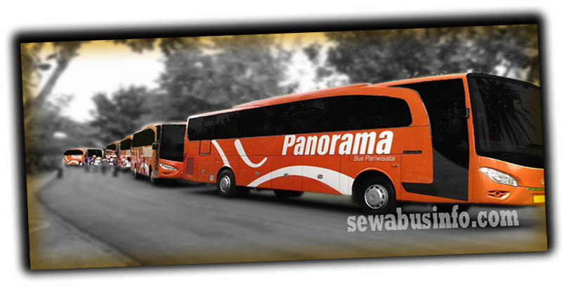 Bus Pariwisata Panorama